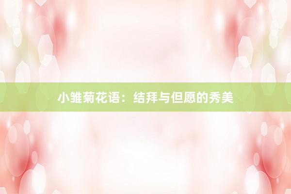 小雏菊花语：结拜与但愿的秀美